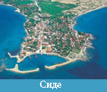 сиде